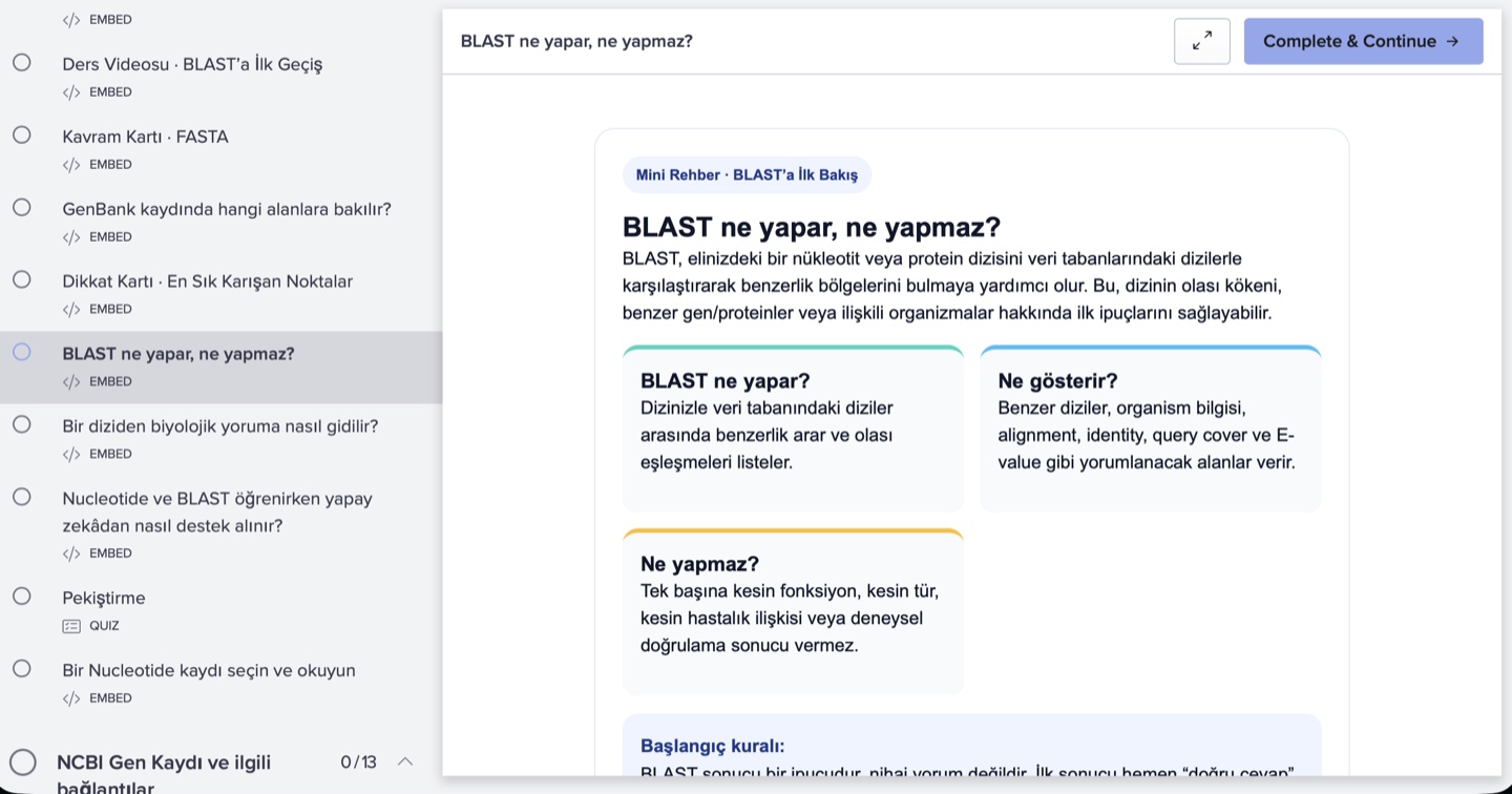BLAST ne yapar ve ne yapmaz başlıklı kurs mini rehberi